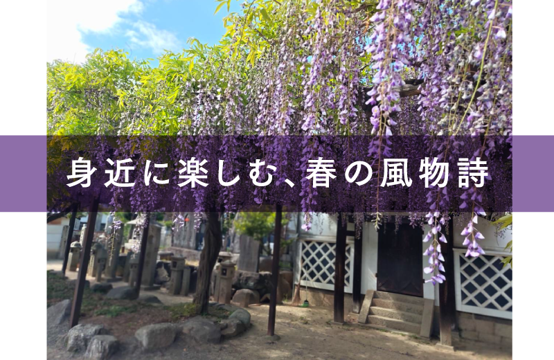 身近に楽しむ、春の風物詩