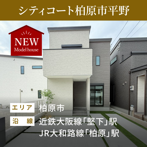シティコート柏原市平野 レディビルドハウス