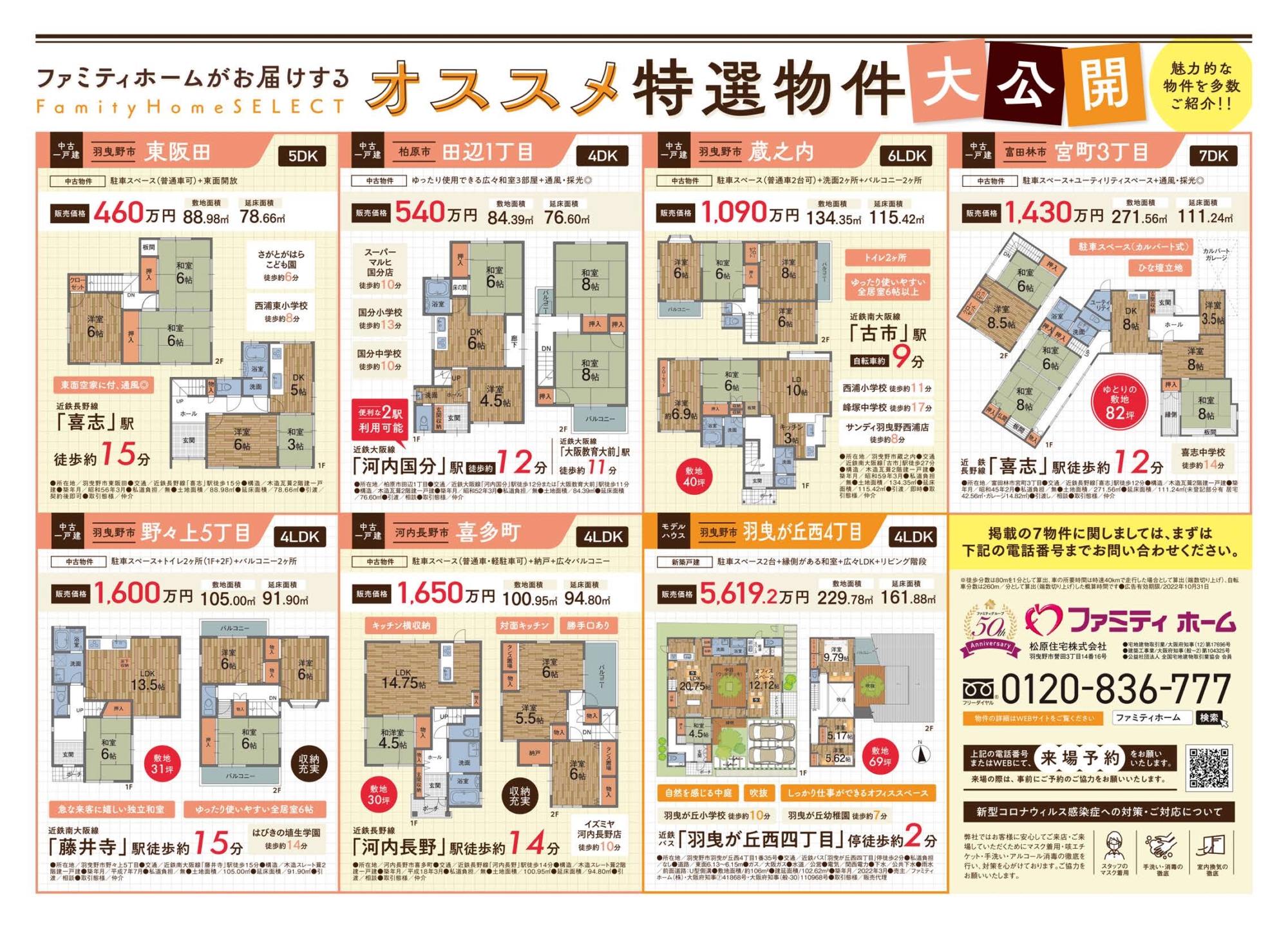 ノルフのチラシ